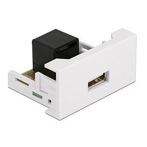 DELOCK module USB σε RJ45 Easy 45 81344, 22.5x45mm, λευκό